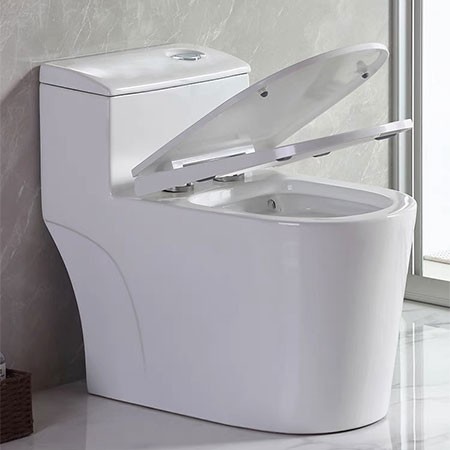 Những yếu tố cần đặc biệt ghi nhớ khi chọn bồn cầu vệ sinh